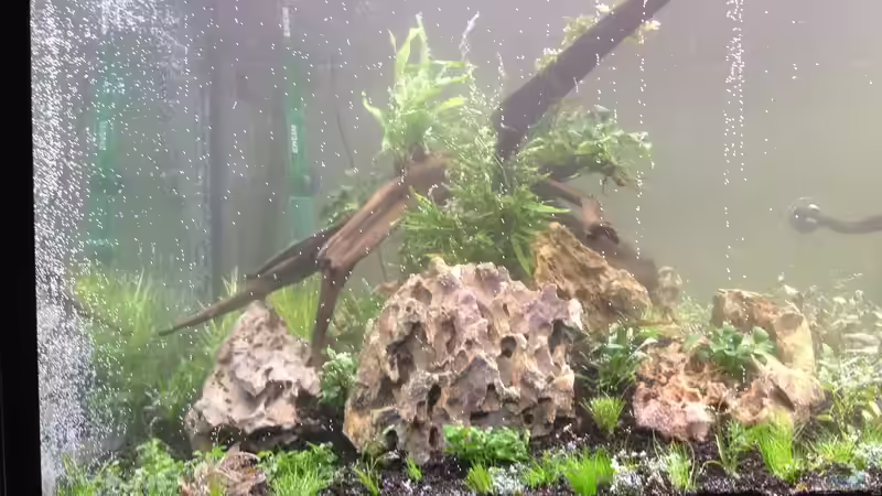 Nach dem Einrichten von Olle696 (3)