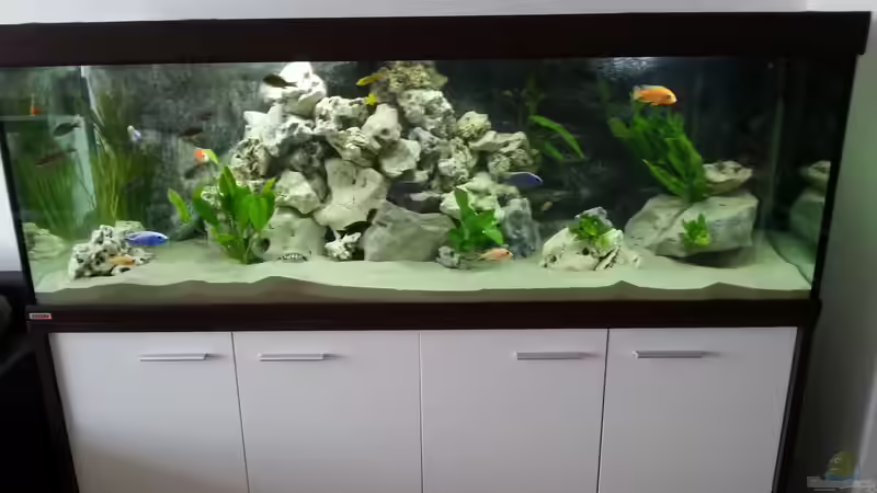 Nach dem Einsatz der Pflanzen von KaZe (3)