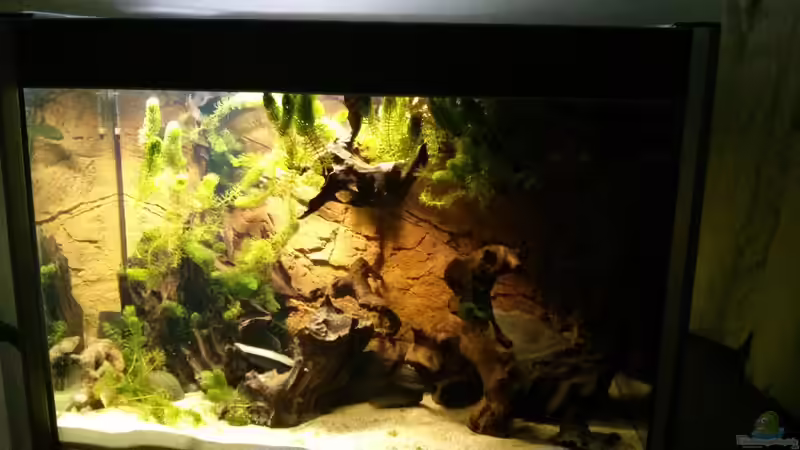 Nach dem Einsetzen 28.Okt.2016 von AquaTobi90 (18)