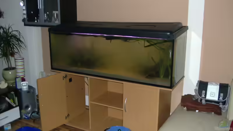 nach dem ersten Befüllen mit noch alter Plasteabdeckung von Mario74 (2)