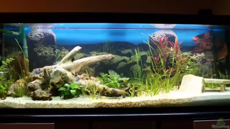 nach dem Ersten einrichten... von Bastian & Sandra (7)