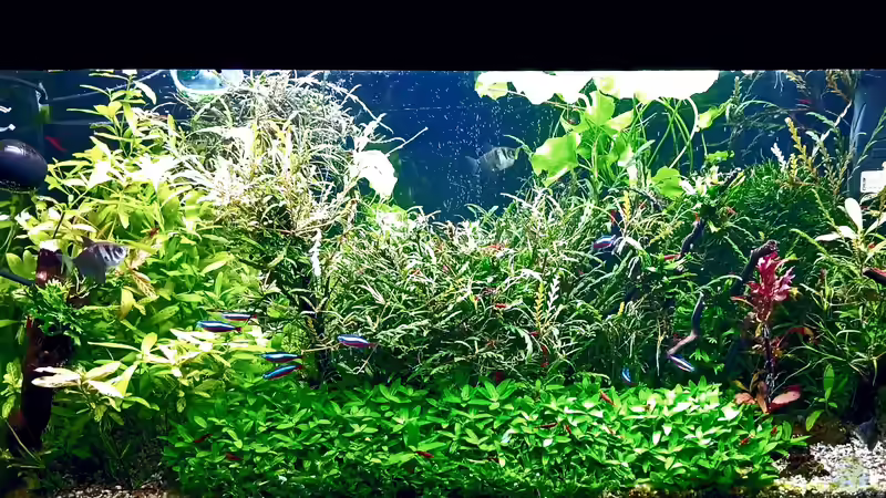 Nach dem Gärtnern... von odin 68 (56)