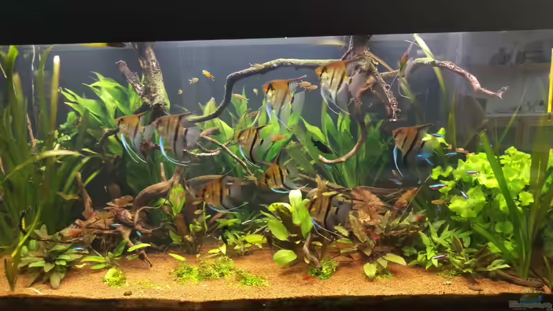 Nach dem gärtnern  von Ralf Bercke (19)