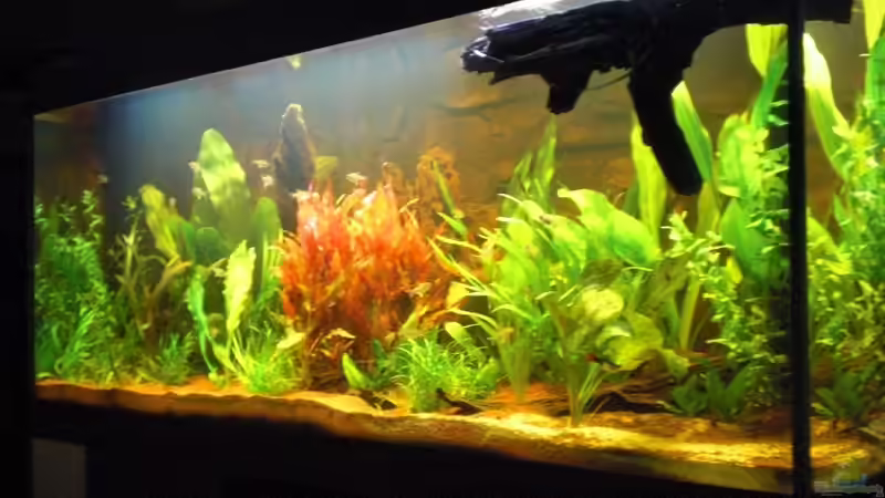 nach dem Gärtnern 2 von Misterdaddy (5)