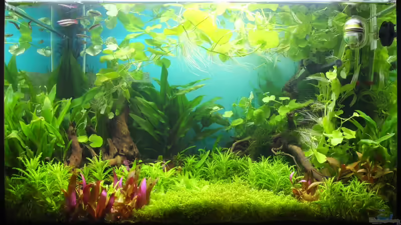 Nach dem Gärtnern 25.08.13 von axolotl (7)