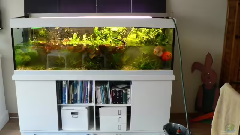 Nach dem Gärtnern von Der Nicky (20)