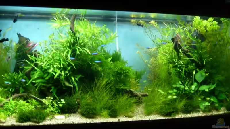 nach dem gärtnern von Volkmar1 (20)