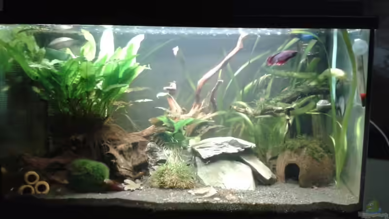 nach dem letzten Umgestalten von Jessi & Daniel (5)