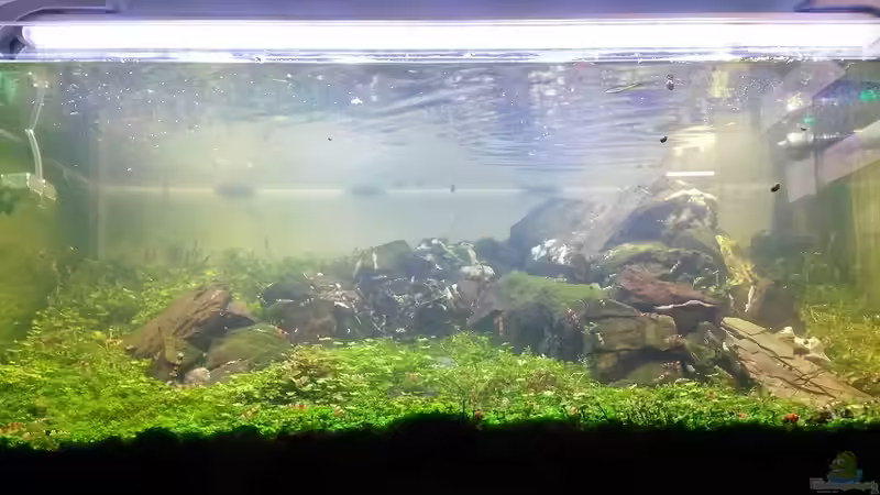 Nach dem Neugestallten