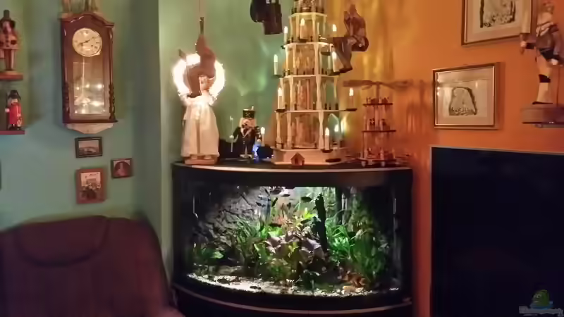 nach dem Pflanzen ausschneiden 1 von Steffen und Felix (98)