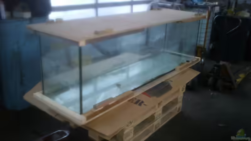 nach dem raustrennen des Schildkrötenkrams von Noah (3)