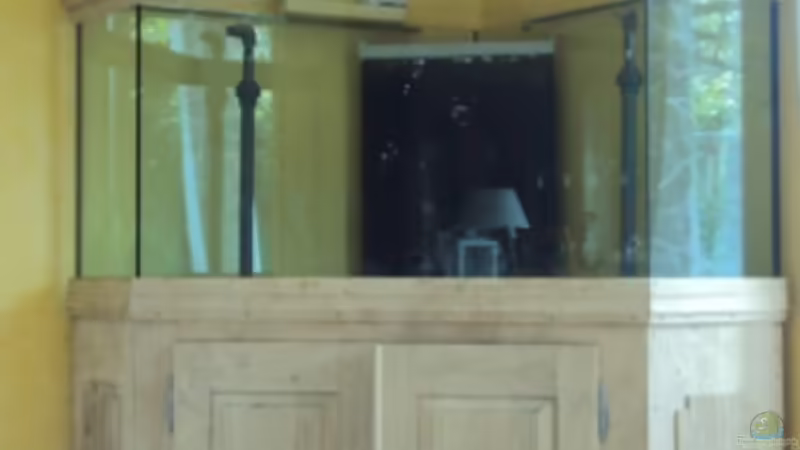 Nach dem Sandstrahlen von schmitzkatze (8)