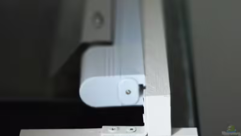 nach dem Streichen von TimTamTellerlein (18)