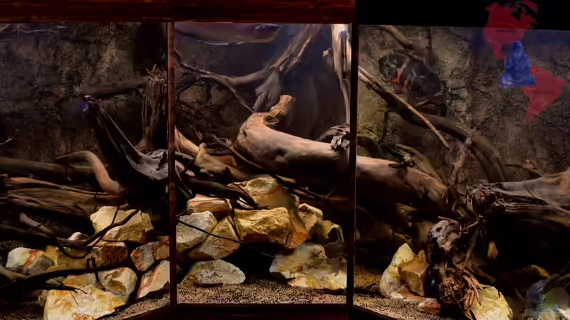 Nach dem Tuning: Die Mitte von GGuardiaNN (6)