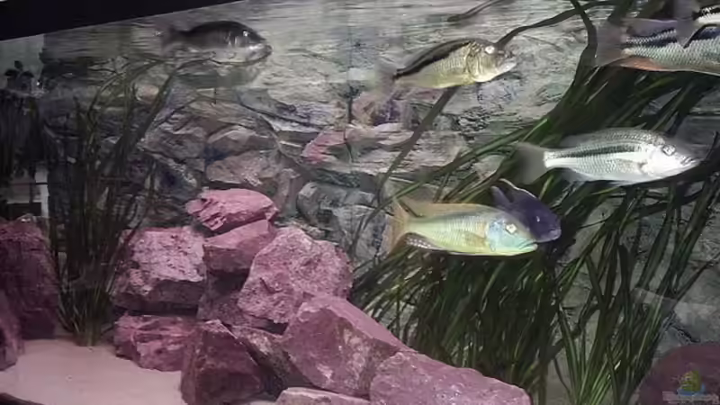 Nach dem Umbau  von Jürgen Herb (10)