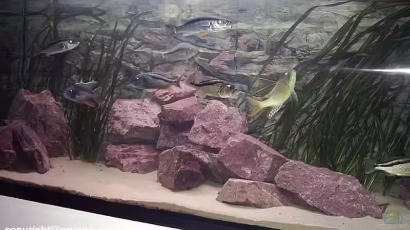 Nach dem Umbau  von Jürgen Herb (11)