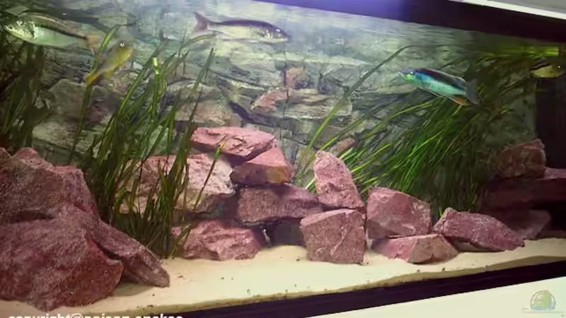 Nach dem Umbau  von Jürgen Herb (9)