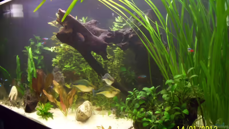 nach dem Umbau  von kaktus-jones (9)