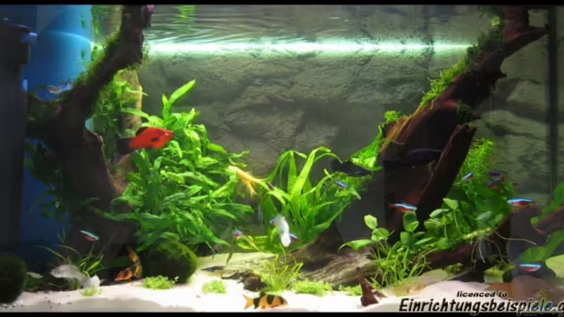 nach dem Umbau von Christiane Feldmann (8)