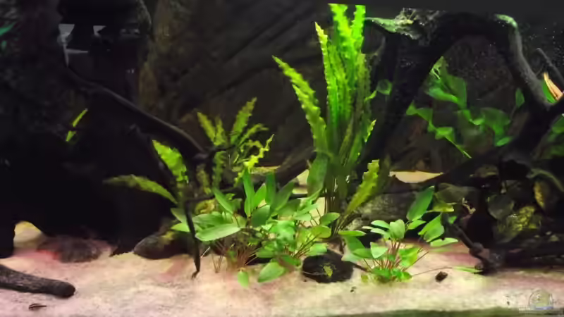 Nach dem Umbau von Dr. Manhattan (9)