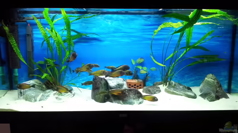 Nach dem Umbau von Marcus_mck (6)