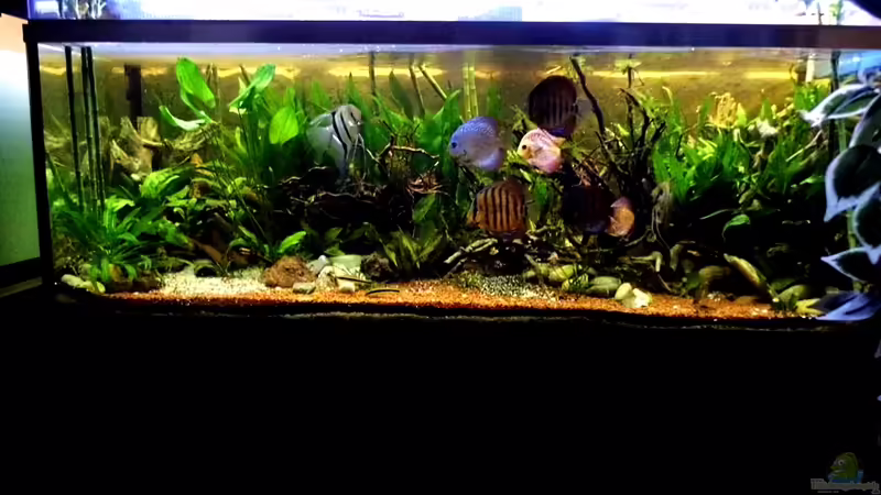 Nach dem Umbau von snooze (3)