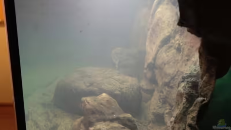 Nach dem Wassereinlauf von Tobias Sch. (8)