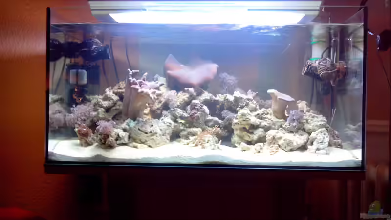 Nach dem Wechsel von Andreas Fleischer (2)