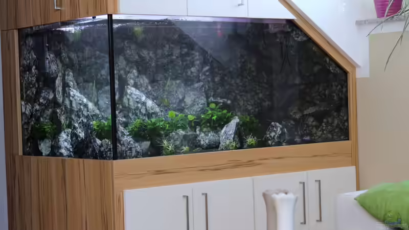 Nach dem wöchentlichen Wasserwechsel von Markus Maier (22)