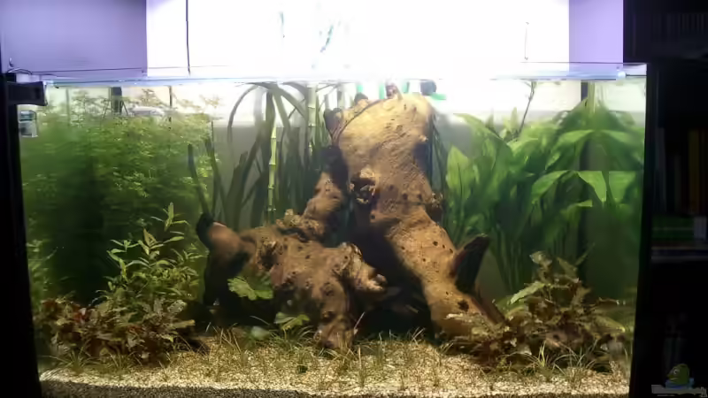 Nach den ersten Tagen von Christian Müller (4)