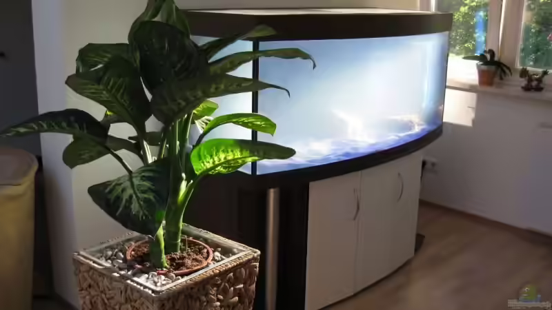 Nach der 1. Komplettfüllung.... von Frontosa (4)