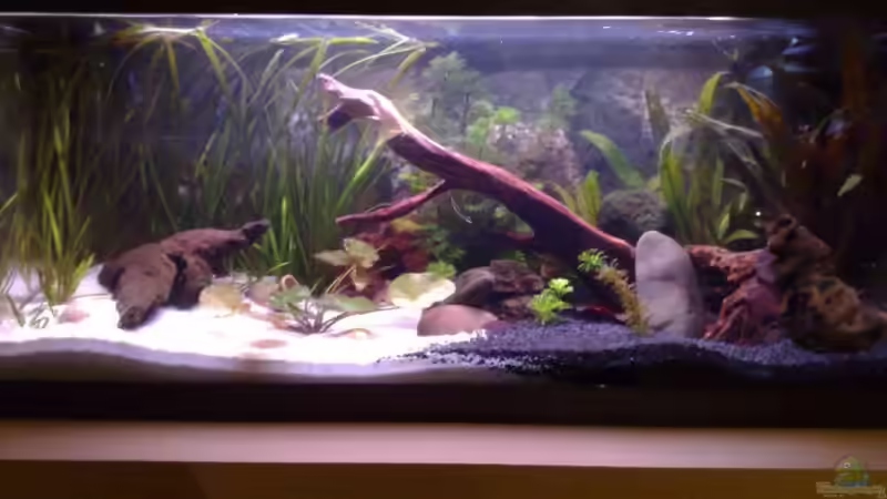 nach der Einrichtung...