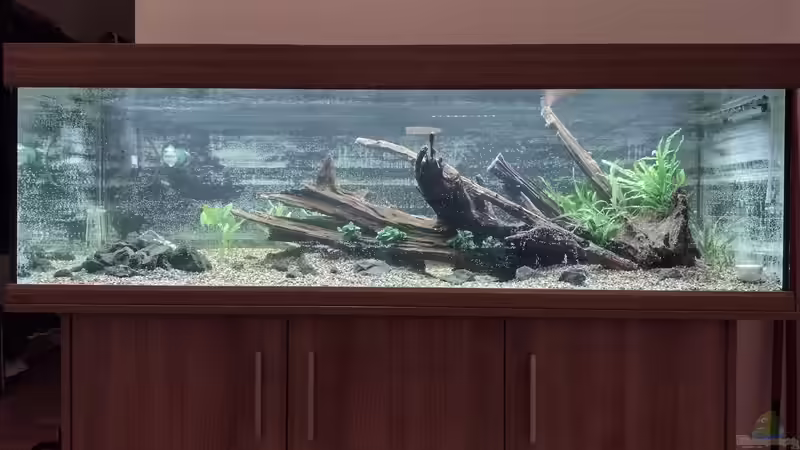 Nach der Einrichtung am 06.10.2021 von C-NA (2)