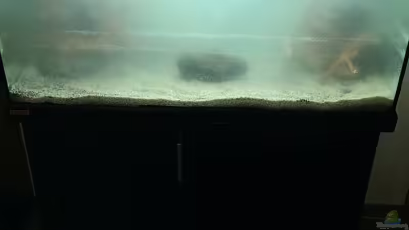 Nach der Einrichtung von Marcel Ro. (2)