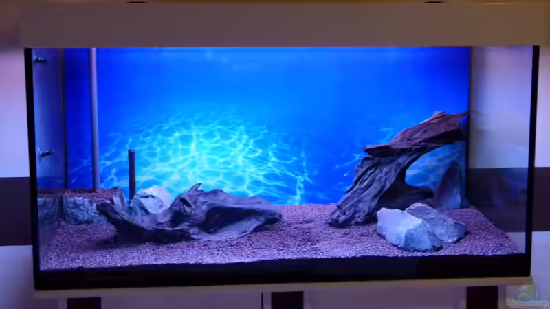 Nach der Einrichtung von Mc.Maurer (2)