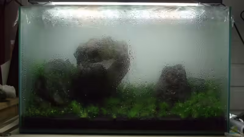 Nach der Erstbepflanzung im Drystart von Micha... (4)