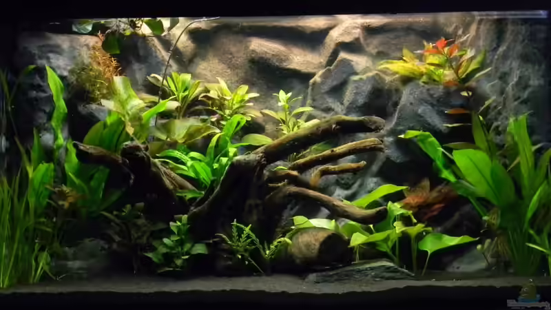 Nach der Ersteinrichtung von Alfur (6)