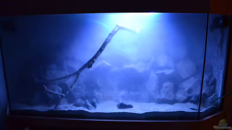 Nach der ersten Befüllung von Flutsch (8)