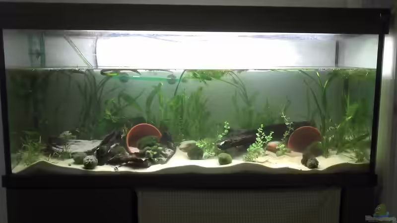 Nach der Neueinrichtung. von Jenny (2)