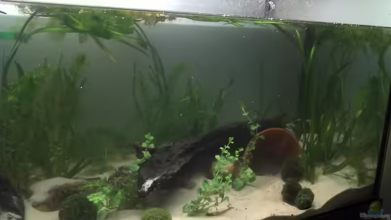 Nach der Neueinrichtung. von Jenny (3)