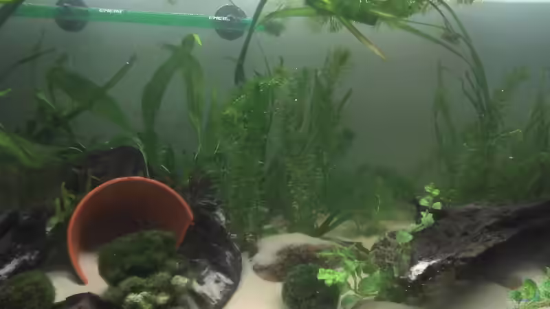 Nach der Neueinrichtung. von Jenny (4)