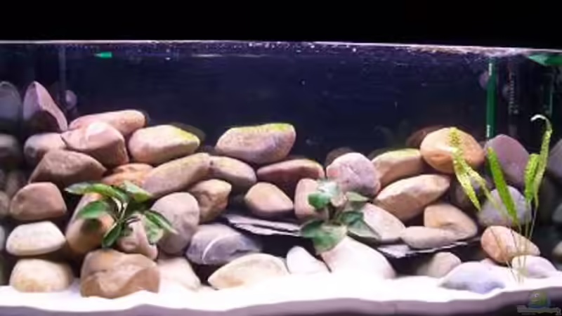 nach der neueinrichtung mit schwarzem hintergrund von Michael Schillerwein (7)