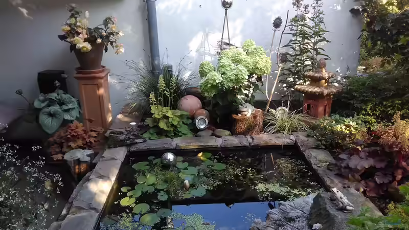 nach der NEUgestaltung im Frühjahr 2017 von Grünhexe (2)