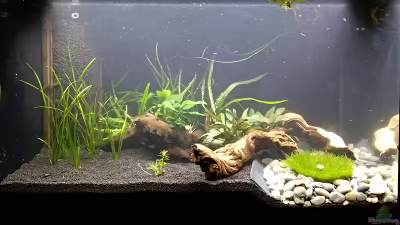 Nach der Neugestaltung im Mai 2018 von Gregor (3)