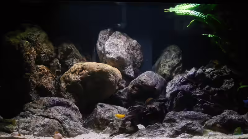 Nach der Umgestaltung _ verschiedene Lichtsituationen  von MGR (8)