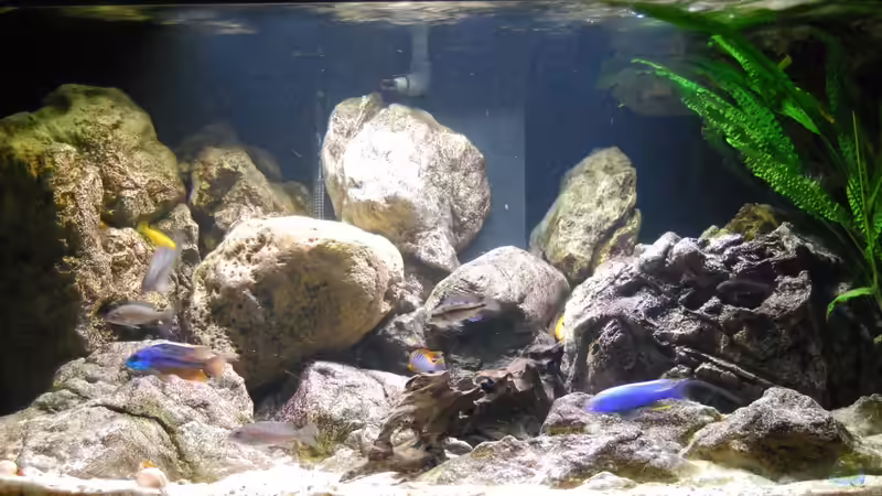 Nach der Umgestaltung _ verschiedene Lichtsituationen  von MGR (9)