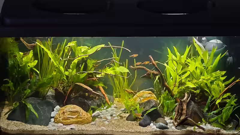 Nach der Umgestaltung am 25.11.2020 von okefenokee (22)