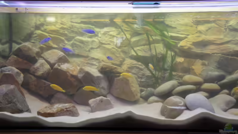 Nach der Umgestaltung noch etwas trüb von Richy (3)