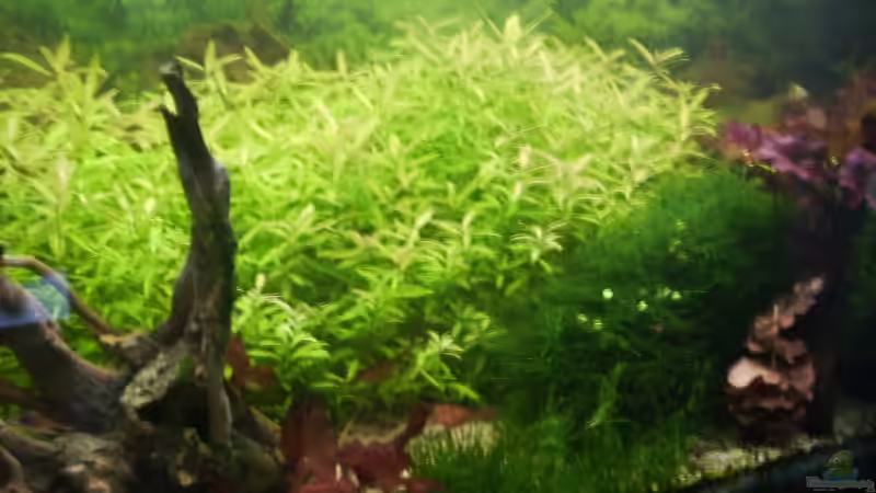 Nach der Umgestaltung!! von Stefan Bischoff (7)