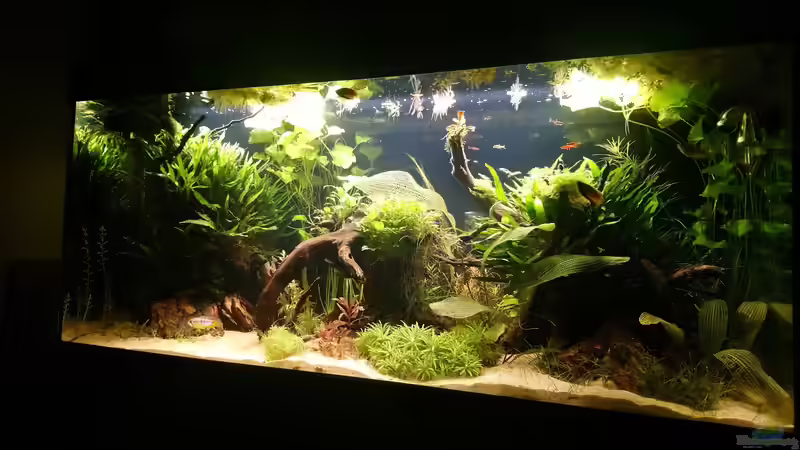 Nach der Umgestaltung von Wasserwelten (2)